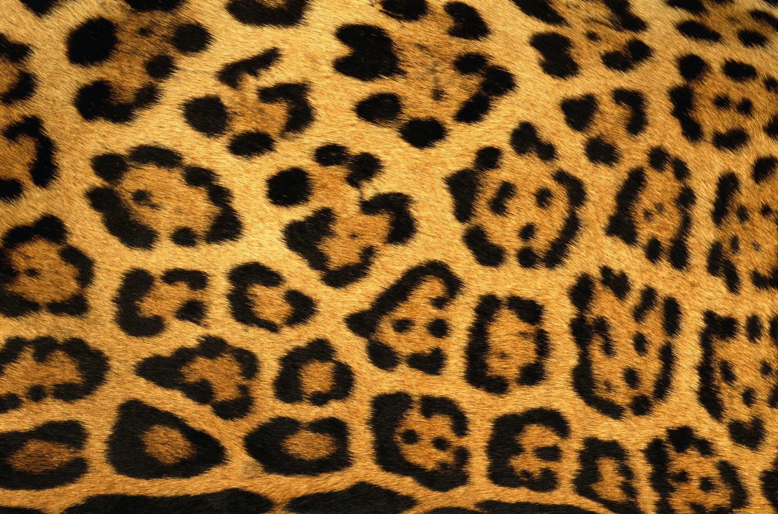 , , 